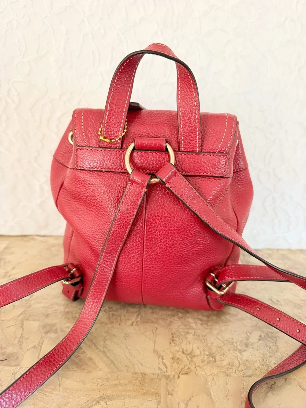 Coach Red Pennie 22 Pebble Leather Backpack